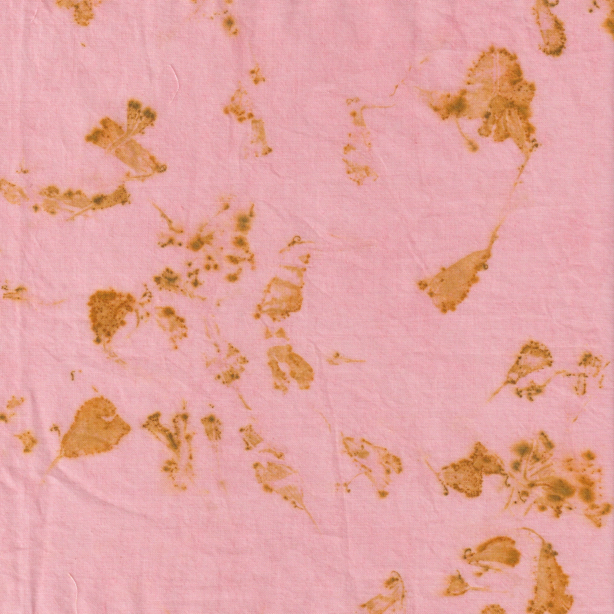 Swatch Set | Eco Printed samples | Organic Cotton | With natural Dye Paste