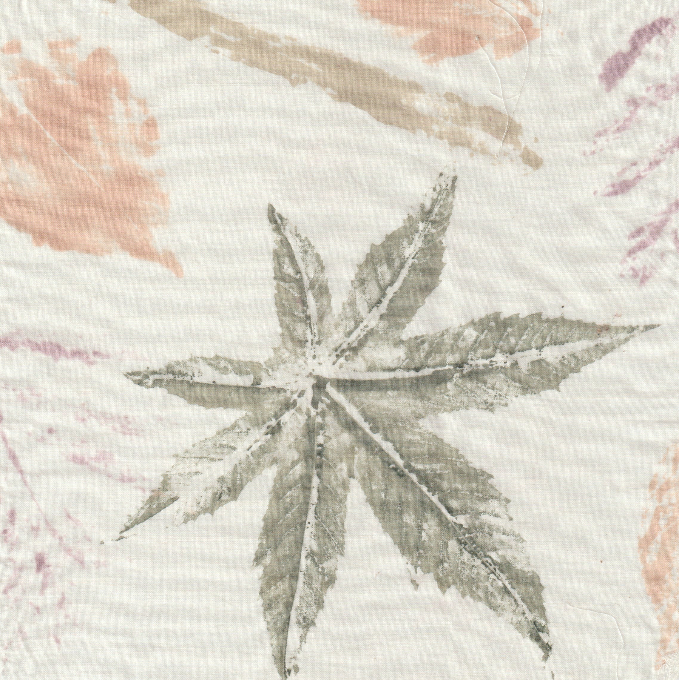 Swatch Set | Eco stamped samples | Organic Cotton | With natural Dye Paste