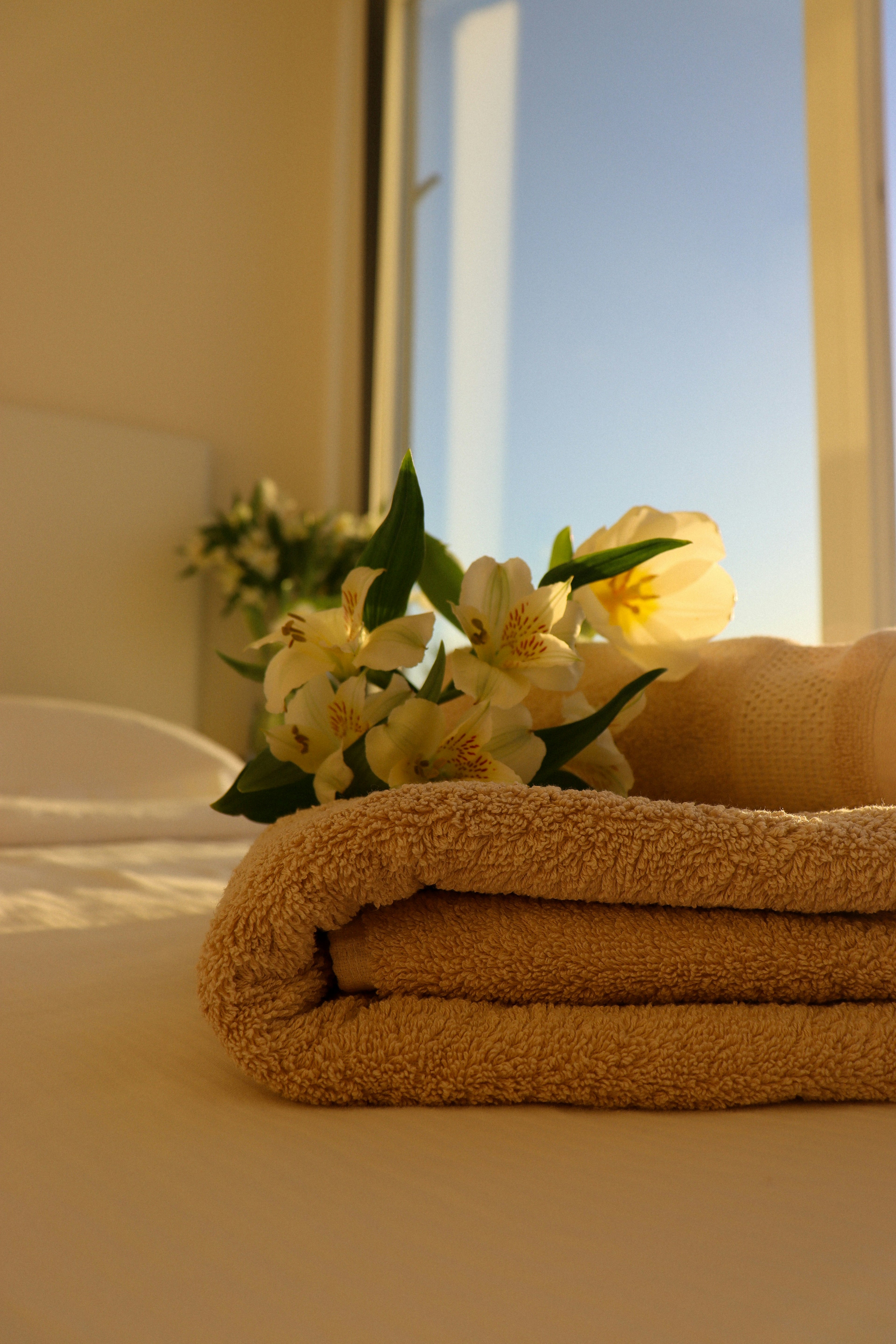Natrually Dyed Towel Set - Pale Apricot
